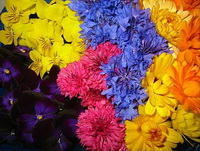 Eatable Flower Arrangements Eatable Flower Arrangements