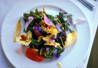 Types of Eatable Flowers Types of Eatable Flowers